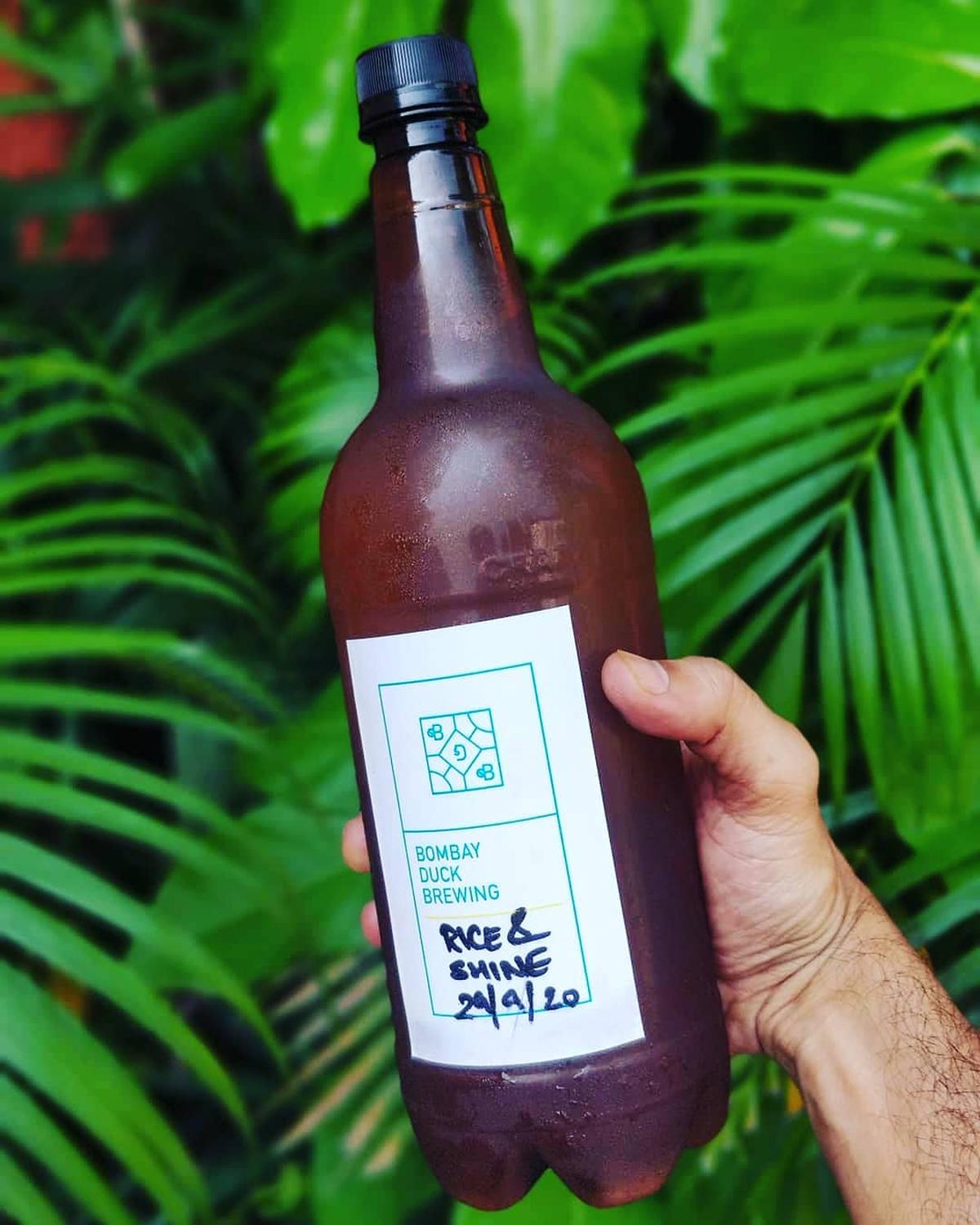 bhaat mahotsav in Mumbai celebrates ancient rice The Hindu